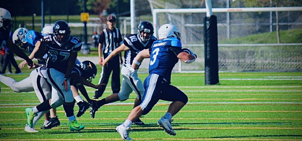 Professional American Football's Link to Colleges